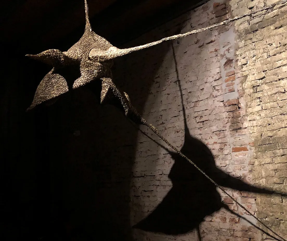 Anfibio estelar, escultura de Luciana Fernández
