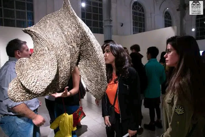 Salón Nacional de Artes Visuales, 2019 — foto de sala